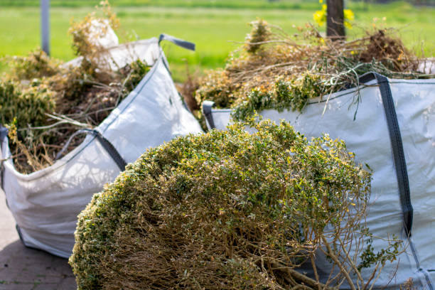 Trusted Niles, OH Junk Removal Experts