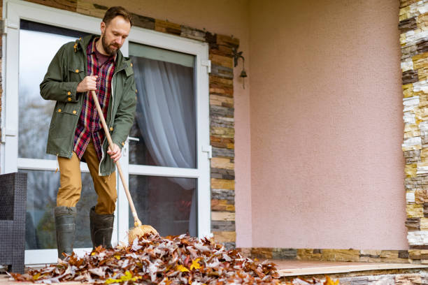Debris Removal in Niles, OH